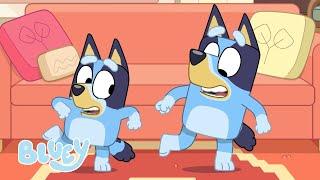 Saisons 1, 2, et 3 Full Episode Comp | Bluey Français Chaîne Officielle