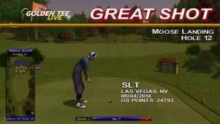 Golden Tee Great Shot on Moose Landing!