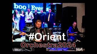 Hora tiganeasca la Braila originala acordeon vioara clarinet-Liviu si Orient Orchestra live 2024