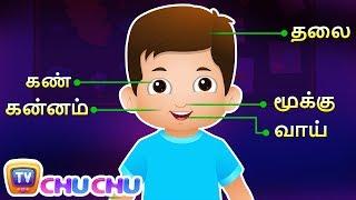 ஐந்து சின்ன விரல்கள் (Parts of the Body Actions Song) | Tamil Rhymes for Children by ChuChu TV