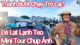 Đà Lạt Lạnh Teo,Mini Tour Chụp Ảnh,Thành Bưởi Chạy Trở Lại?