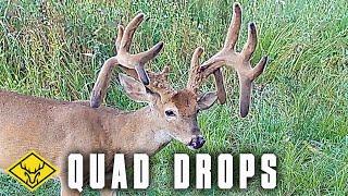 QUAD DROPS | Highs and Lows of Hunting a GIANT Buck!