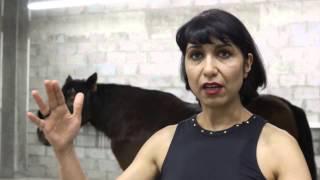 Soheila Sokhanvari