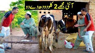 Rashid kamal & Fareed Sabri New Comedy Video ||