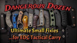 Dangerous Dozen Fixed Blades! A Baker's Dozen EDC Tactical Pocket or Belt Carry Beauties!