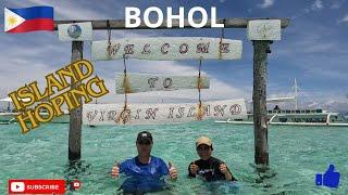 Bohol Philippines, Dolphin, Sea Turtles and Multicolored Fishes at Balicasag and Virgin Island. 2024