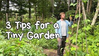 How to Grow Food In A Tiny Garden Using These 3 Permaculture Tips