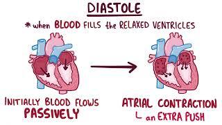 Normal Heart Sounds, provided by Osmosis from Elsevier