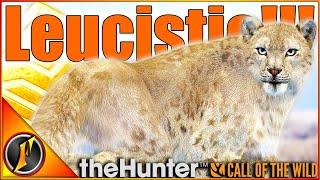 My DREAM RARE Snow Leopard! Leucistic Gold Snowie in theHunter Call of the Wild!