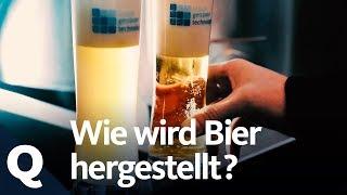 So wird Bier gebraut | Quarks