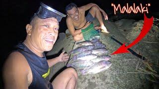 NAG SILABASAN MALALAKING TILAPIA NGAYON SA SPOT NATO!