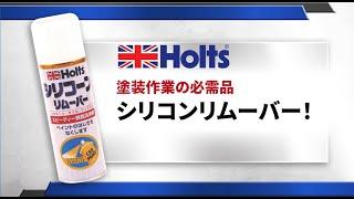 【脱脂洗浄剤】Holts シリコンリムーバー　ペイント作業前のWAXや油分の除去に