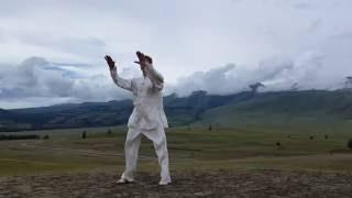 42 forms Taijiquan. Part 1. Sergey Sukhovey