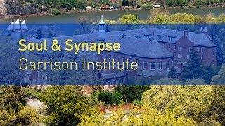 Dan Siegel: Soul & Synapse at the Garrison Institute