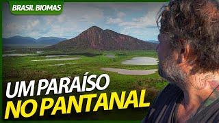 DESCOBRI O LUGAR MAIS BONITO DO PANTANAL! | RICHARD RASMUSSEN