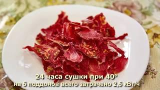 Примеры сушки продуктов в самодельном экономичном дегидраторе Ярило 5