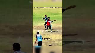 tennis cricket ️ #cricket #gujrattenniscricket #sports #shortvideo #cricketlover #tenniscricket