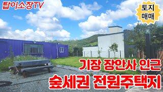 토지매매 | 기장 장안사 인근 정남향 네모반듯 전원주택지, 부산울산 접근성 좋은 힐링 토지!!