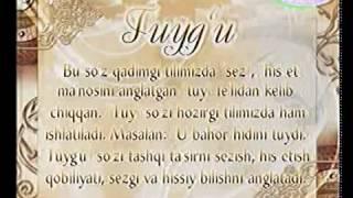 O'zbek tili - Izohli lugat "tuyg'u" [36]