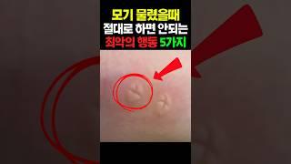 모기 물렸을때 절대로 하면 안되는 최악의 행동 5가지 #건강 #건강정보