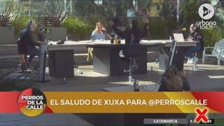 Urbana Play 104,3 FM - "¡Xuxa nos mandó un saludo!" | Perros de la calle