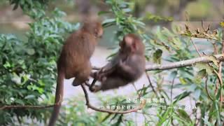 國家地理台灣原創紀錄片