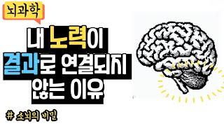 내 노력이 의심 될 때, 꼭 봐야할 영상 ㅣ 노력의 질, 뇌과학, 자기계발