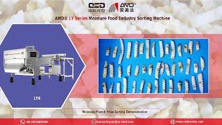 AMD® LY4 Waterproof Moisture/Wet Food Industry Optical Color Sorter/Sortex for French Fries Sorting