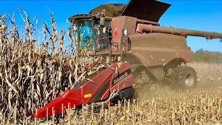 Worst Way To End Harvest 2024