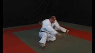 TECNICHE DI JU JITSU  II