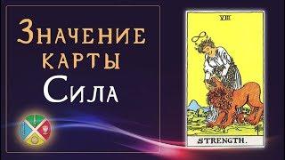 Значение карты Таро Сила. Старшие Арканы Таро.