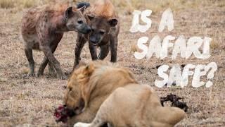 Six ESSENTIAL Safari Safety Tips | Lions VS Hyenas