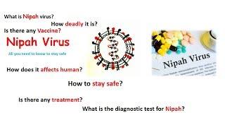 Nipah virus outbreak in Kerala | Is Nipah contagious? | Can Nipah virus infection be cured?