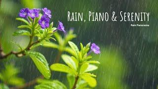 Rain Sounds & Relaxing Music 24/7 - Piano Music, Sleep, Study, Yoga, Stress Relief, Meditation