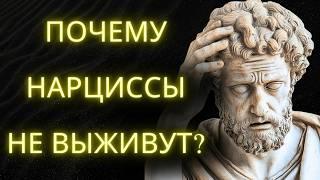 Почему Нарциссы НЕ ВЫЖИВУТ В 2025? Сила Стоицизма Раскрыта!