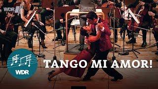 Tango mi Amor! – WDR Funkhausorchester | WDR Klassik