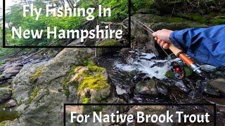 Fly Fishing//New Hampshire//Native Brook Trout//Summer Time