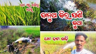 ଦାଳୁଅ ବିଲ ପାଣି ବୁଆ /  Daalua bila Pani bua #dalua #villagelife #village #guluacomedynew #vlog