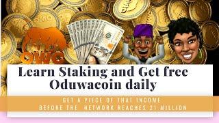 Learn Staking. Become an OG and get free Oduwacoin daily on the Network