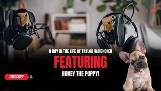 Puppy Power: Taylor Waidhofer of Disruption Nation Visits the Studio!