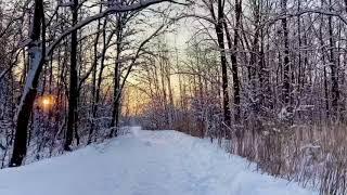 Watching the sunset from the park. Snow is the best but the views are pretty sweet