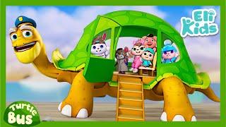 Turtle Bus #2 +More | Eli Kids Songs & Nursery Rhymes