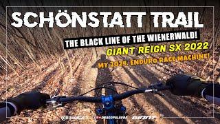 SCHÖNSTATT TRAIL | Giant Reign SX 2022 | Drago Palavra