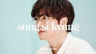 [Playlist] 봄이면 더 생각나는 감성 발라드, 감미로운 목소리 성시경 노래모음 |Sung Si Kyung|