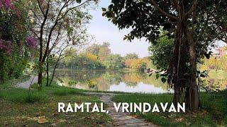 Beautiful Ramtal, Vrindavan