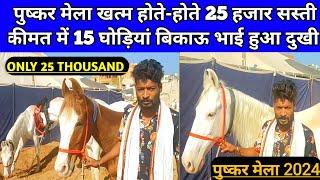 पुष्कर मेला खत्म होते-होते 25 हजार से बिक्री शुरू वाली 15 घोड़ी बिकाऊ। Pushkar horse Mela 2024।