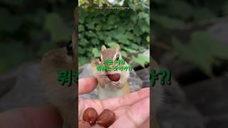 타잔이 욕구를 푸는 방법