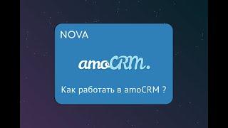 Сделки/Компании/Контакты в amoCRM