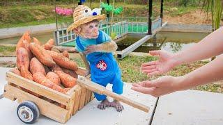 Monkey MiMi Harvests Potatoes for a Fun Roasting Party with Mom