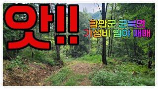 함안땅, 함안임야] 24-010 경상남도 함안군 군북면 {산림관리사 허가득} 전기투입및 통행로 정상까지 개통된 ,개인농장및 산림경영적합한 임야 매매